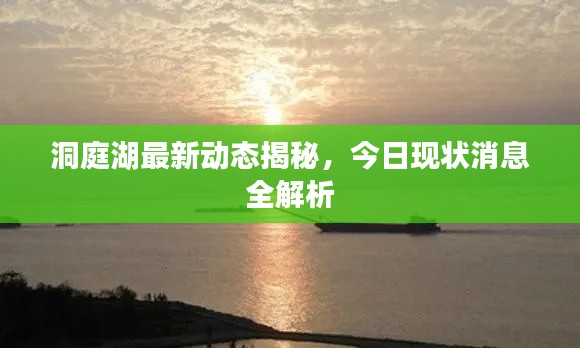 飞扬跋扈 第2页