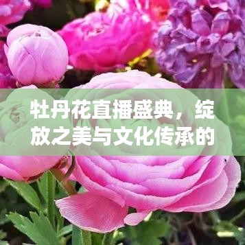 观往知来 第2页
