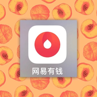 网易有钱版本,统计解答解释定义-网红版_v8.363