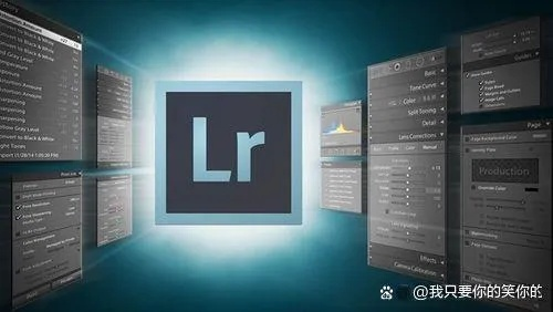 lr软件官方免费下载,国产化作答解释定义&amp;VE版_v6.175
