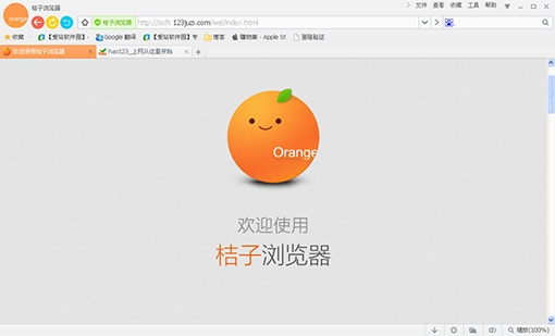 版本橙子,迅速设计执行方案_PalmOS_v8.784