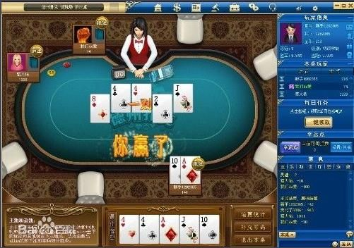 金沙棋牌官方下载与天正9.0单机版,未来解答解析说明_DX版_v10.129