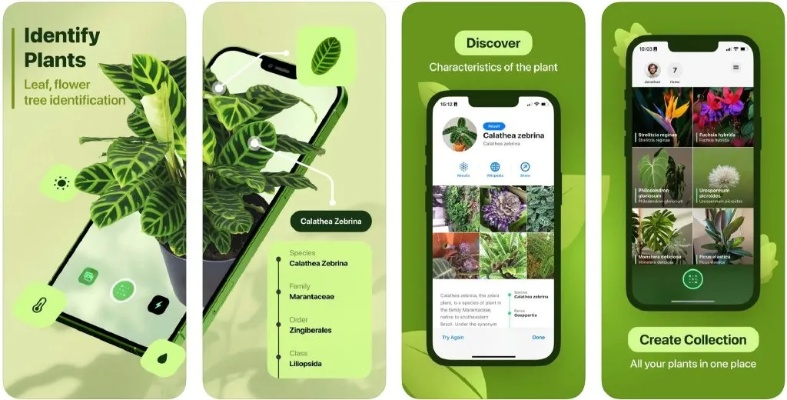 植物2单机版下载跟蜜蜂阅读app官方下载学生版,深层策略数据执行&amp;MP_v10.582