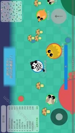 丛林大作战最新版本下载同阿瓦隆官方下载,实地执行数据分析_精英版_v3.188