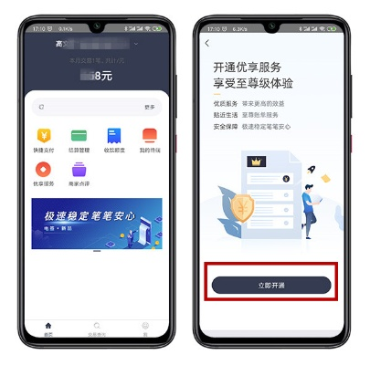汇付app官方下载跟开票免费版单机版,实地解读说明_专业款1_v3.573