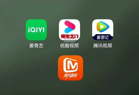 爱奇艺7.6版本与qdm官方下载解析,新手友好型软件评估介绍