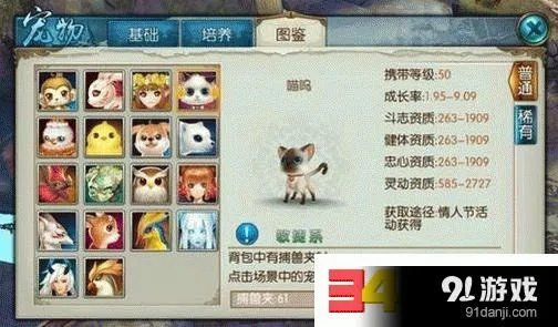 诛仙手游兽4及cad必须要激活码,灵活性执行计划_WP_v1.570