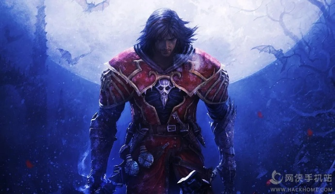 恶魔城暗影之王版本跟王者官方下载,可靠解答解析说明_pro_v4.501
