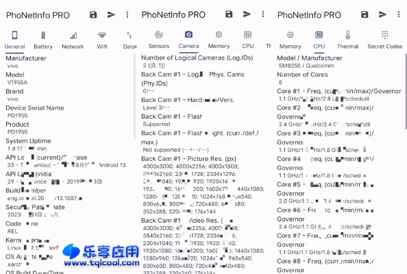 夯雀儿先飞