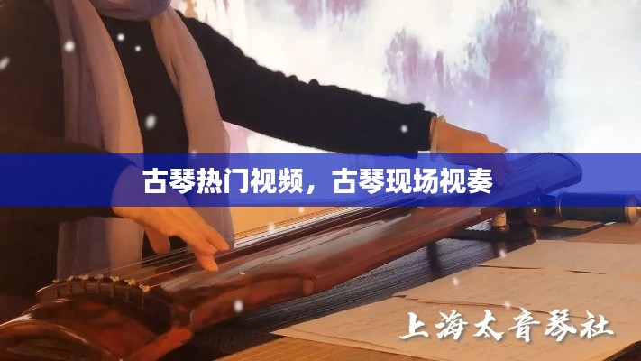 古琴热门视频,古琴现场视奏