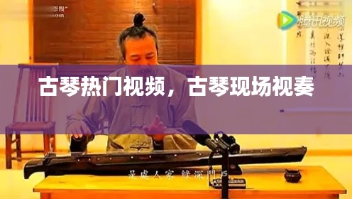 古琴热门视频,古琴现场视奏