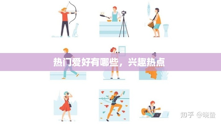 热门爱好有哪些,兴趣热点