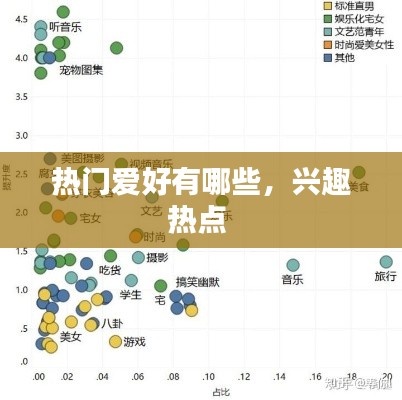热门爱好有哪些,兴趣热点