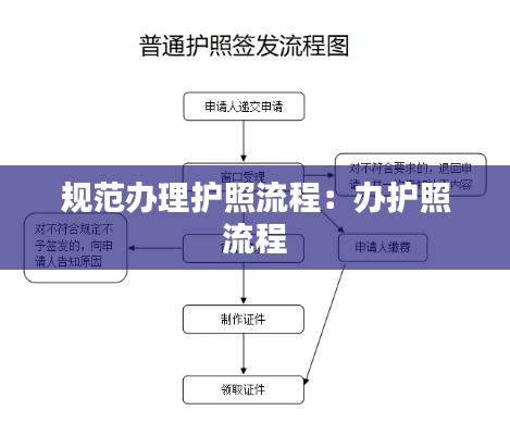 规范办理护照流程:办护照 流程