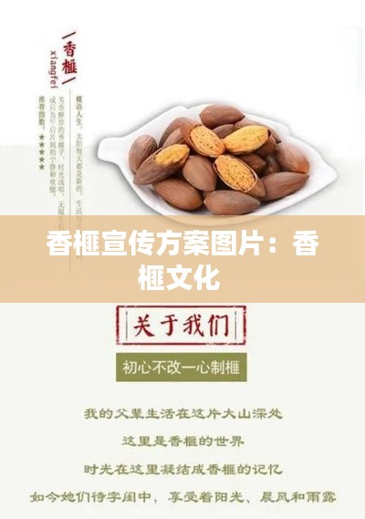 香榧宣传方案图片:香榧文化