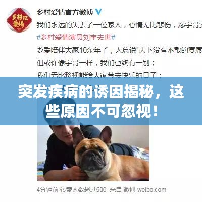 突发疾病的诱因揭秘，这些原因不可忽视！