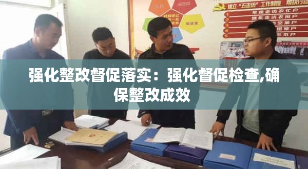 强化整改督促落实：强化督促检查,确保整改成效 