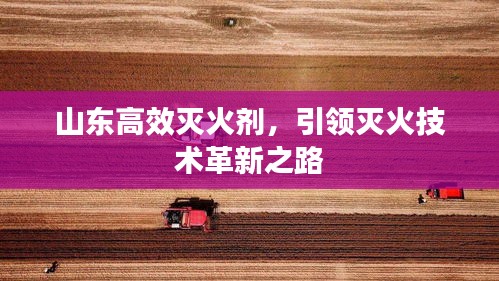 山东高效灭火剂，引领灭火技术革新之路