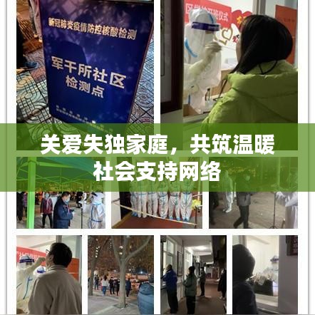 关爱失独家庭,共筑温暖社会支持网络
