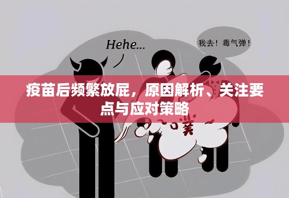 疫苗后频繁放屁,原因解析、关注要点与应对策略