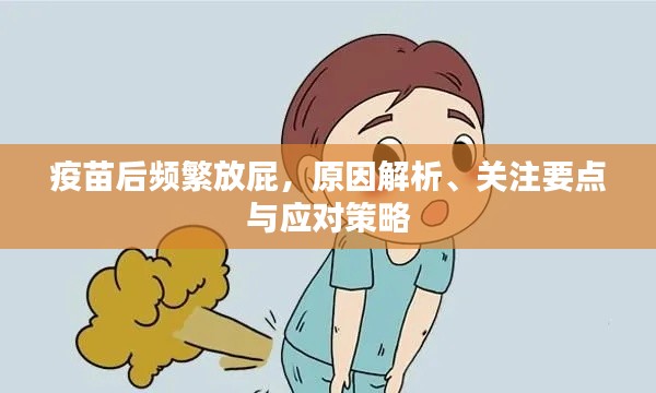 疫苗后频繁放屁,原因解析、关注要点与应对策略