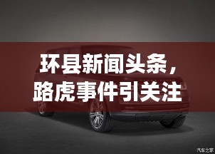 环县新闻头条，路虎事件引关注，本地资讯瞩目