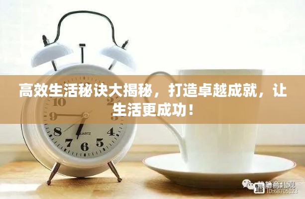 高效生活秘诀大揭秘,打造卓越成就,让生活更成功!
