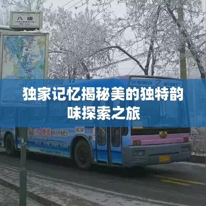 独家记忆揭秘美的独特韵味探索之旅