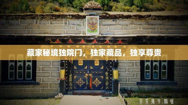 藏家秘境独院门,独家藏品,独享尊贵