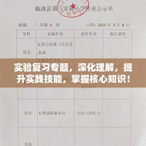 实验复习专题，深化理解，提升实践技能，掌握核心知识！