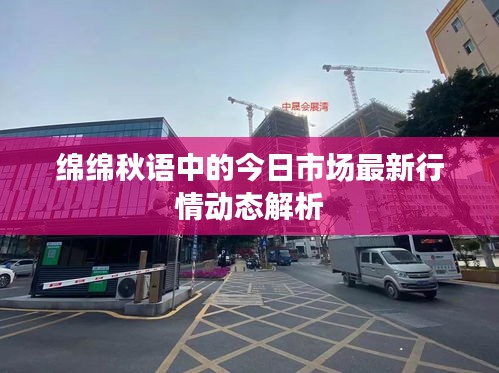 绵绵秋语中的今日市场最新行情动态解析
