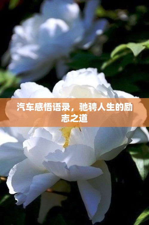 汽车感悟语录，驰骋人生的励志之道