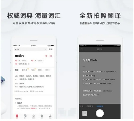 有道词典手机版官方下载,灵活性方案解析-开发版1_v1.677