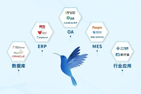 蜂鸟棋牌正版官方下载，创意工作的无限可能，数据支持的卓越执行方案Superior_v9.651
