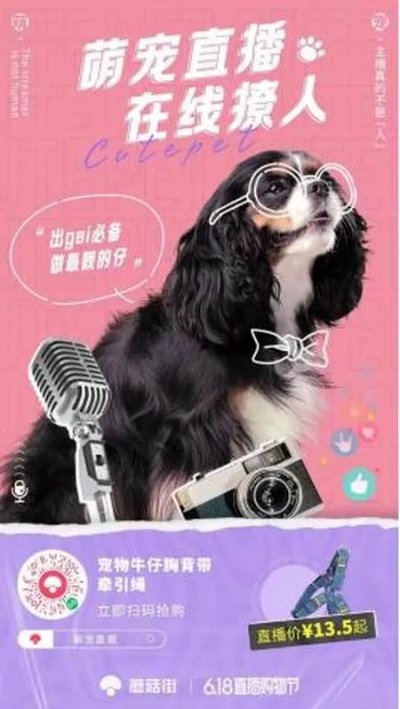 宠物单机版破解版.与夜听直播官方版下载,深入研究解释定义_网页版1_v7.137