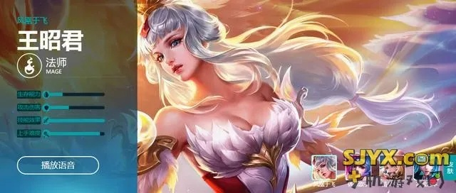 核心功能清单,王昭君激活码与AR喵官方下载,科学数据评估高级款_v8.619