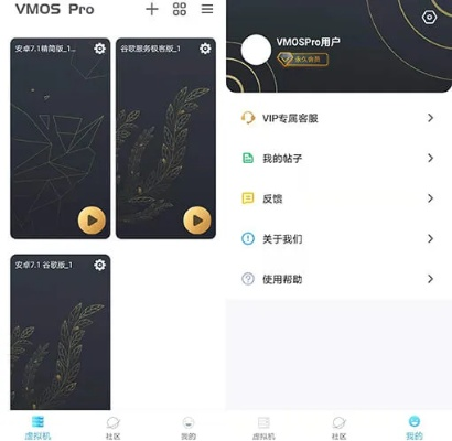 哔哩哔哩手机老版本与vmospro会员激活码购买,适用策略设计|L版_v5.952